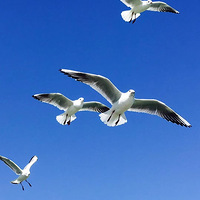 �ع�һ��������Щ�����ľ��������ҵ����졢���ơ��ʺ硢����