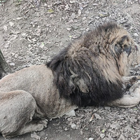 �ֺ��ֶ�һ����