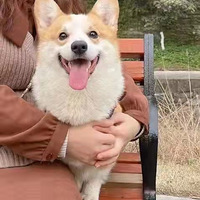 �����ġ��»�����һ��Ů���ѣ�