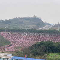 �山����½��ͻ��أ����ĵ�������г������ǰ����ǵĻ�԰