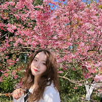 �����ܱ��Σ�ץס��ӣ���һ������¼��������