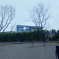 137ƽ�����޵�ϲ����������̨������