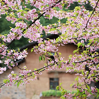 2022�ϴ���ӣ��