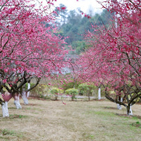 2022�ϴ�÷԰������Ũ