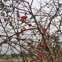 ����ͣͣ����ɹɹ