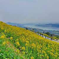 ��̽����ɽʯ�̴��Ͳ˻�����