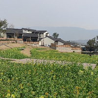 ��԰����3��3�Ųſ���