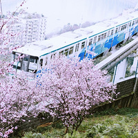 2022����������г�