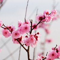 ���㺣�Ĳ�ֻ���֮���ͻ��������пɓ�����̫���Ľ�̲