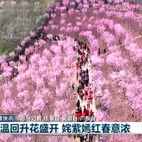 ӡֱ͡䡷רⱨ