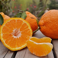 Ʒ�ʳ�����������ۡ����١���ۡ�⨺��ҡ��������������ۿ���