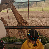 ���μ�֮�ֺ��ֶ�