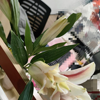 6��Ǯ����͸��λ�����ܡ�