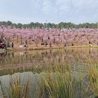 ��ů����