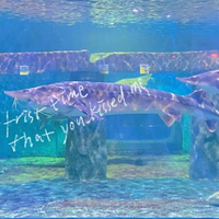 �봺��Լ | ��ta����������