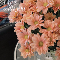 ������С��