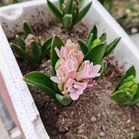 3����á����������������俪����