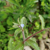 ·�ߵ���Щ��֪��СҰ��