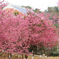 2022̨ũ԰��ӣ��