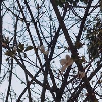 ·�ߵĻ�������Ҳ����