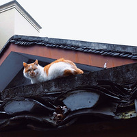 ��������������