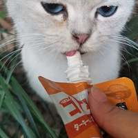 ����ͷ�����㶼������