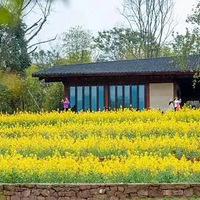 �������Ʊ���������Ǵ�Ƭ�Ͳ˻�ʢ�ţ�������Ƴ��ÿ���