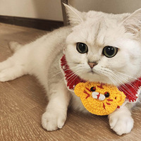 ��ǽֽ����ˢ�᣿�����ҵľ�װ��С����