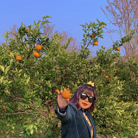 ���������������ܲ�ժ����Ȥ