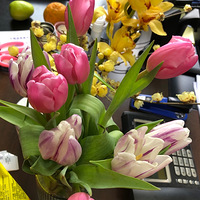 ����õ�ʱ�򡢲��õ�ʱ�򶼿����򻨻�