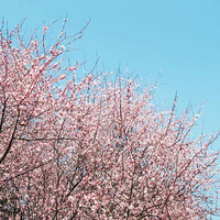 �����������ߣ������ˣ������ͻ�ɹ̫��