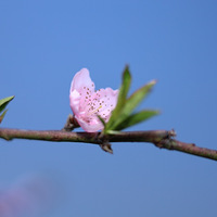 �׵�ʵ�ģ����ʥˮ���һ�ʢ����������һ��ȥ��������