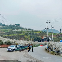 �������̤���ͻ�