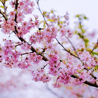 �������£������ͻ���ʱ��