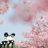 ������ӣ�����ǲ������ձ��ĵģ��ɻ������ʱش���������С�