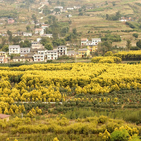 2022��������