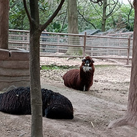 ���춯��԰