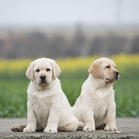 С��������70����