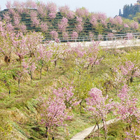 2022����èɽӣ��԰