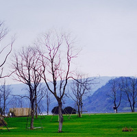 ��һ��ȥ�����������ֶ��룬�о������һ��