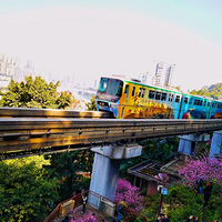 ��������ĵ���������