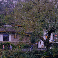 ů��ʱ�ڣ�̽���������һ���Ŵ�ׯ