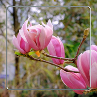 �ּ�������������