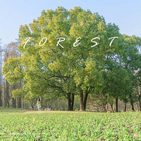 ���Ϻ���԰�� �������£�̤������ʱ