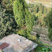 ũ���Сè����Ҹ�������Ҹ�����һ�ɣ����������ɹ̫����