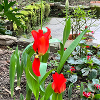 1�����µ������㣬����½��������