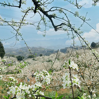 ������ٻ���Ŀ����ض������е��᲻�÷�����