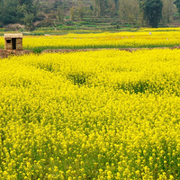 2022�����Ͳ˻���