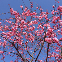 �������£�ȥ������ӣ����ι������