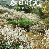 СڿƼаһƬӣһɽȥѽ